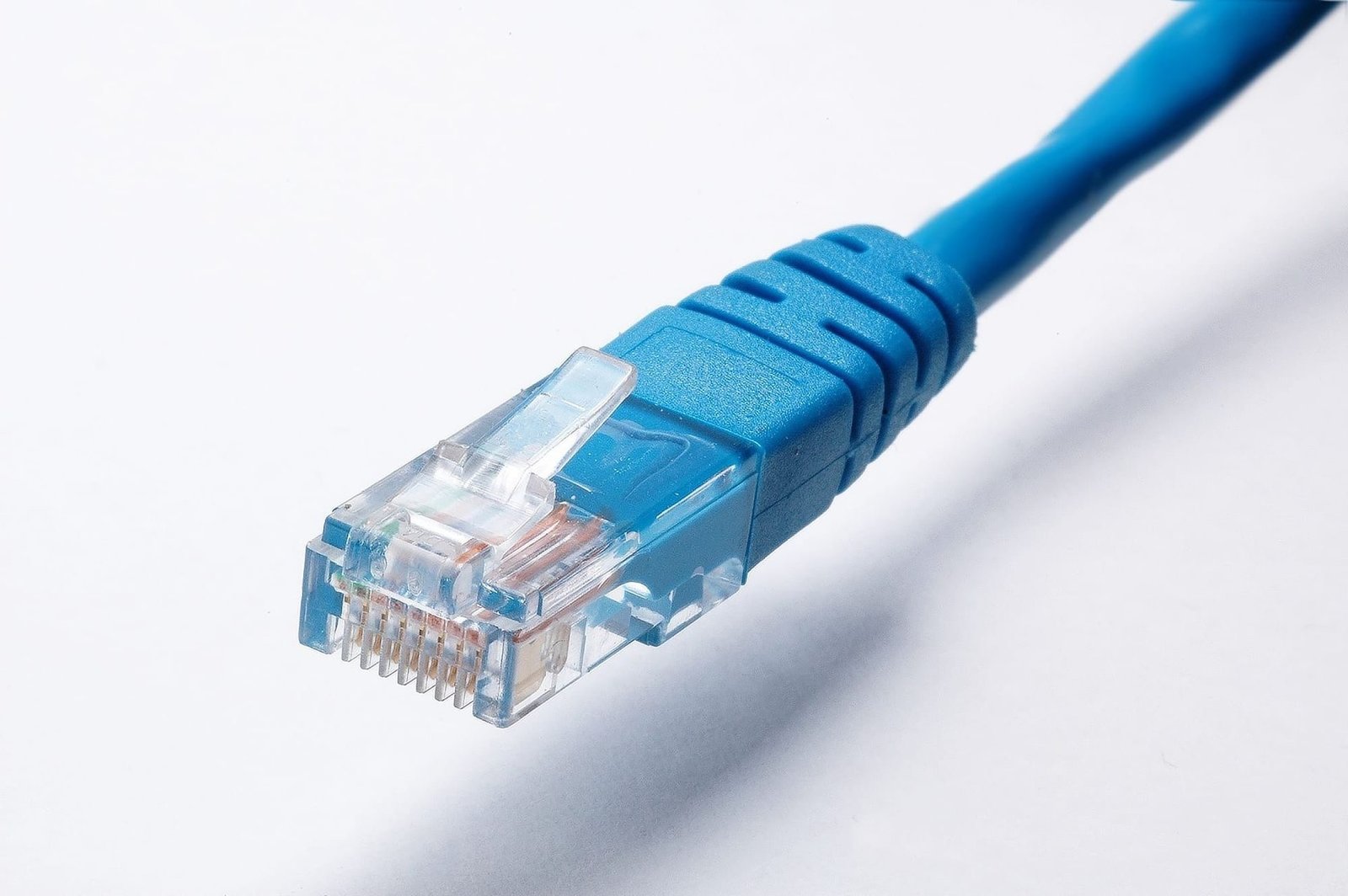 A blue network patch cable with an RJ45 plug